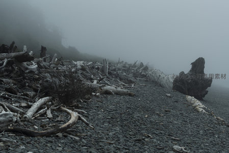 迷雾中的海岸废墟与漂流木