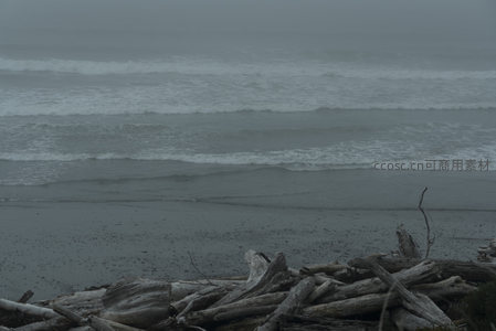 浪花翻滚雾海间，枯木静卧诉沧桑