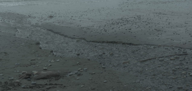 潮水退去，沙滩上散落石子与细沙纹理