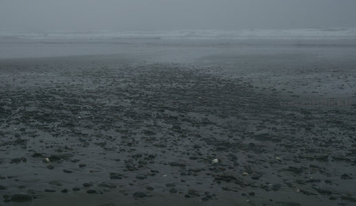 浓雾笼罩的湿润卵石滩空旷景象