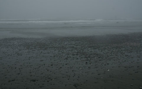 雾锁海岸，浪花轻吻湿润沙滩