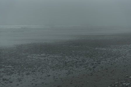 雾中滩涂，水光石影共氤氲