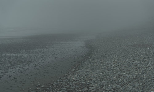 雾霭弥漫的海岸，石径通向未知远方