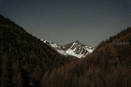 星空下的雪山峡谷，静谧森林守护夜空