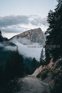 蜿蜒山路穿云雾，森林幽深