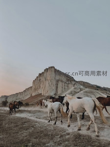 马群奔腾于白垩悬崖前