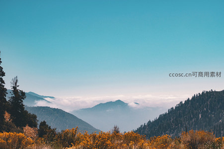 云海之上层峦叠嶂