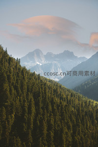 云海托举雪峰，松林环抱山谷幽深