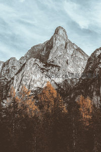 秋林掩映，巍峨山峰的冷峻之美