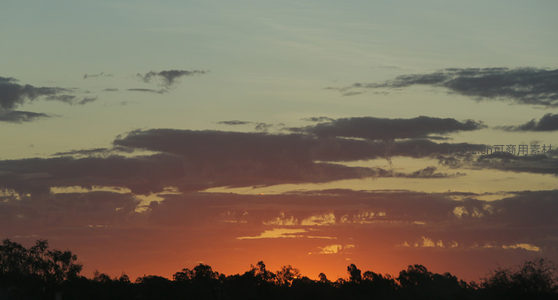 树影剪影下的绚烂晚霞天空