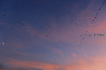 雁阵划破霞光天幕，新月静悬云海间