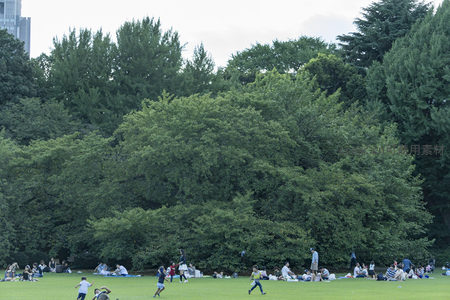 绿茵草坪上人们悠闲野餐嬉戏