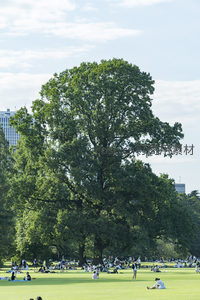 绿茵草坪上人们悠闲野餐