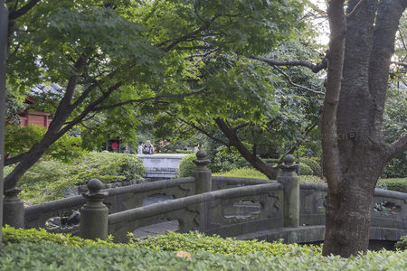 古桥绿荫掩映，游人漫步园林间