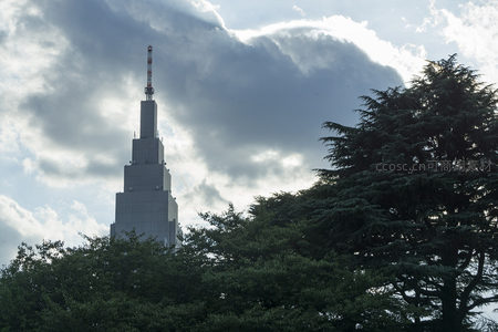 摩天大楼隐现树梢，云层变幻衬托现代都市