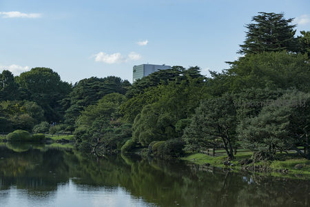 湖畔绿树成荫倒影如画