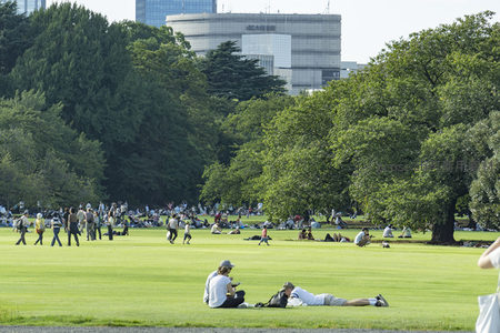 草坪上人们悠闲享受阳光