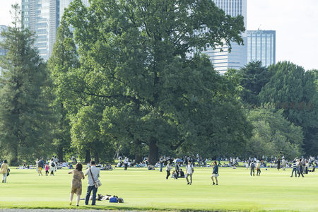 大树下人们在草坪上活动