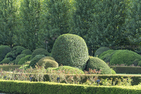 规整园艺造型景观