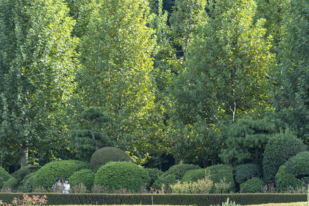 园林深处绿树成荫游人漫步其间