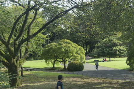 公园曲径通幽，行人漫步绿意盎然之中