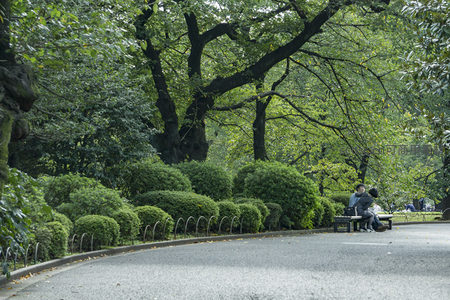 林荫小径旁长椅上情侣依偎享受午后时光