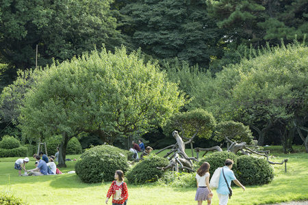 草坪上游客或坐或行，享受阳光下的悠闲假期