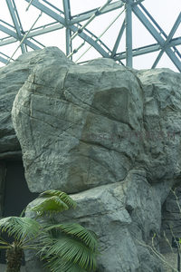 温室内的仿自然岩石造景特写