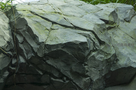 青苔覆盖的岩石纹理清晰可见