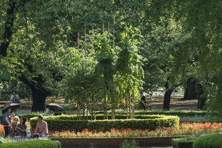 公园里人们在花坛旁悠闲休憩赏景