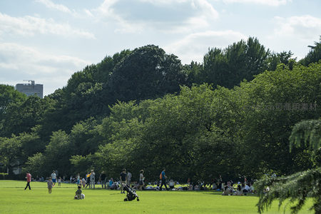 城市公园草坪上的休闲时光