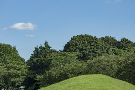 青翠草坡与蓝天绿树相映