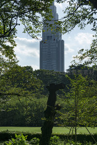 透过林间枝叶眺望高耸入云的摩天大楼