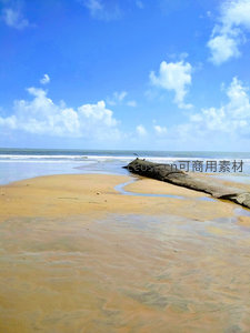 岩石与潮水交织的海岸景象