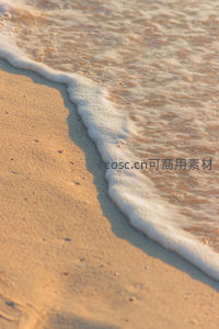 夕阳下温柔的海浪泡沫线