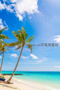热带椰林映衬蔚蓝大海的天堂