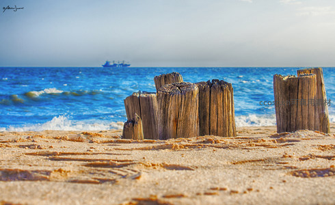 沙滩上的旧木桩与远航船只