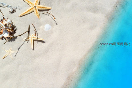 阳光沙滩上的海星贝壳静物特写