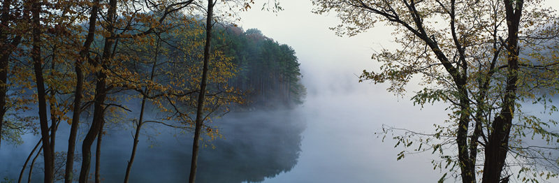 湖面晨雾缭绕树木倒影如画
