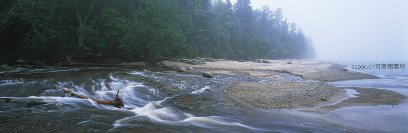 雾中河岸水流湍急林木苍翠