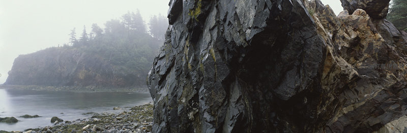 雾中海岸巨岩与远山松林