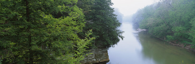 绿意盎然河谷晨雾缭绕