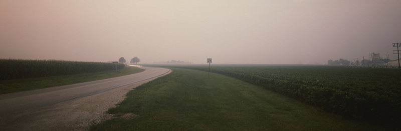 晨雾笼罩的乡间公路与农田