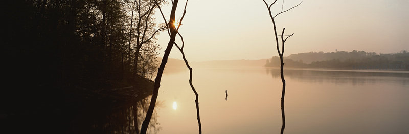 湖畔枯枝剪影与晨曦微光