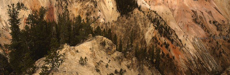 山崖层叠色彩斑斓，松树点缀岩壁之上