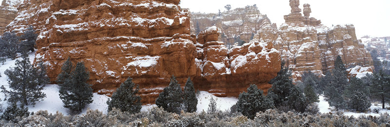 雪中红岩峭壁松柏点缀