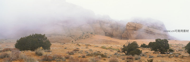 薄雾笼罩的沙漠岩壁与灌木丛