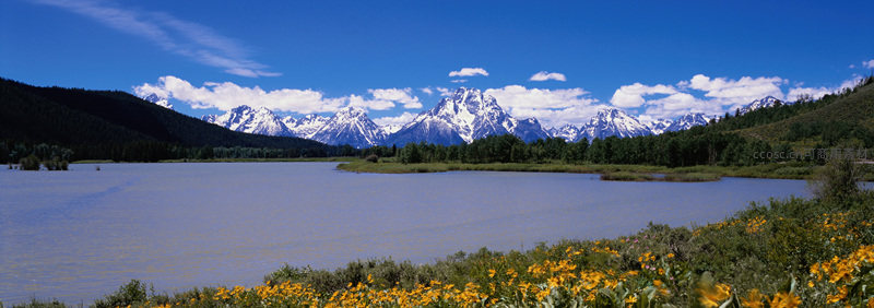 雪山湖泊与野花盛景