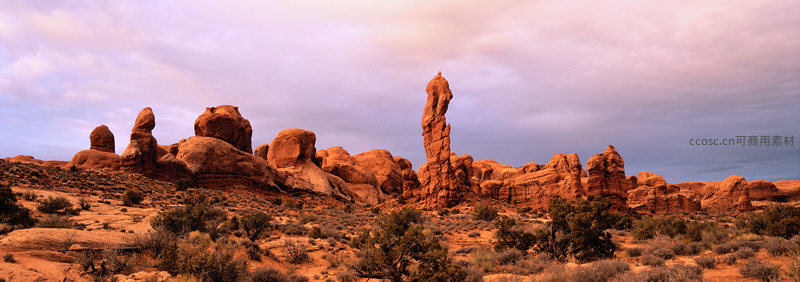 奇特风蚀岩柱矗立于荒漠灌木丛中