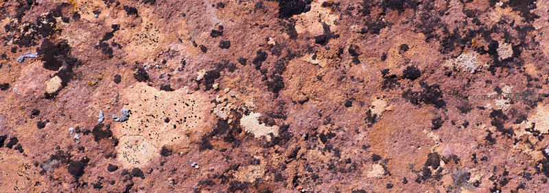 岩石表面苔藓斑驳纹理